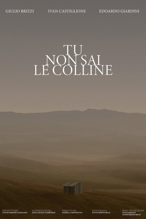 Movie poster for Tu non sai le colline (2022)