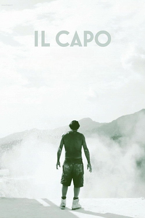 Movie poster for The Chief (2010)