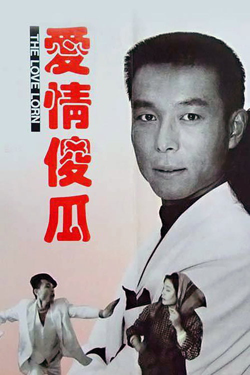 Movie poster for 爱情傻瓜 (1993)