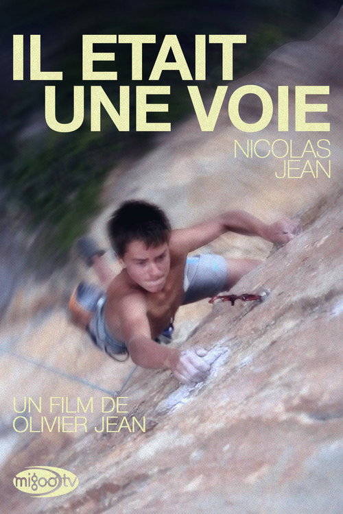 Movie poster for Il Était Une Voie (2012)