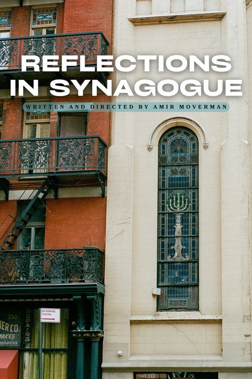 Movie poster for Reflections in Synagogue (2024)