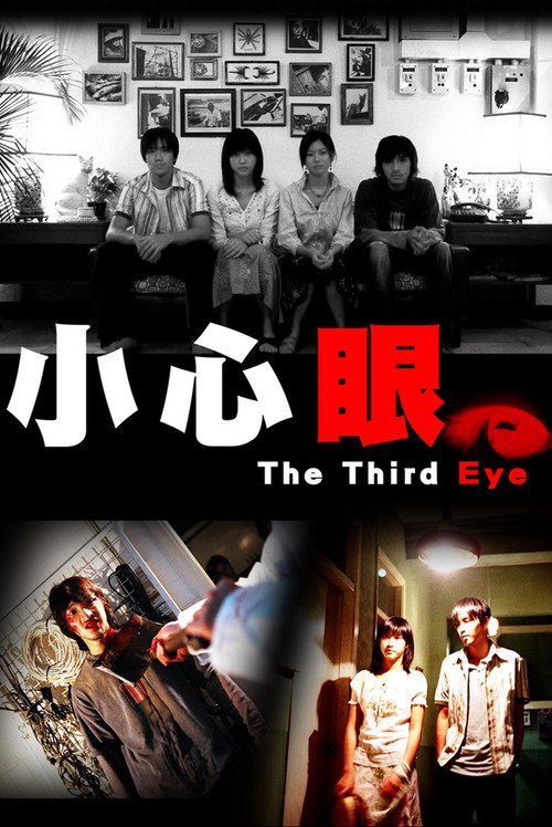 Movie poster for The Third Eye (2006)