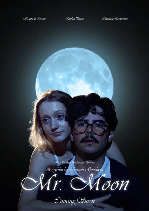 Movie poster for Mr. Moon (2025)