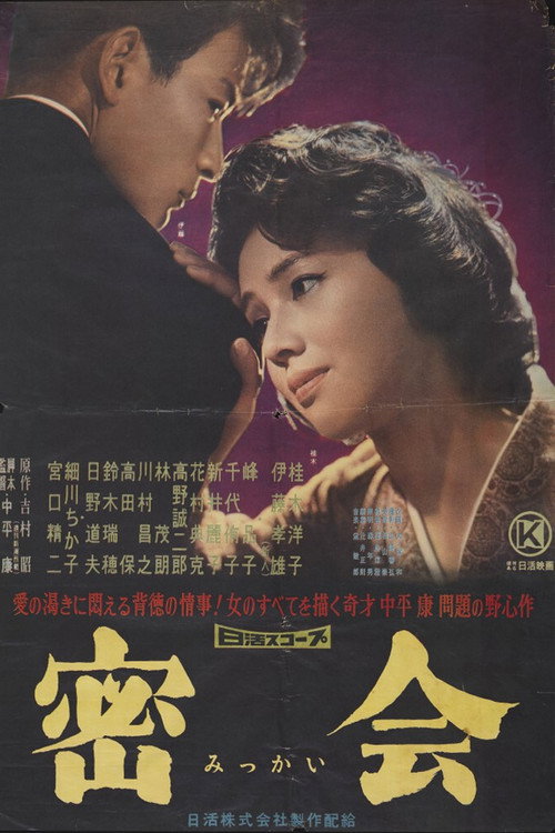 Movie poster for A Secret Rendezvous (1959)