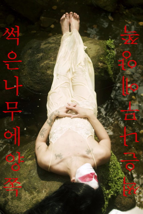Movie poster for Two Sides of the Rotted Wood