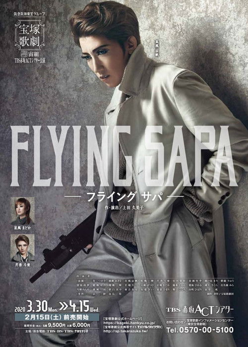 Movie poster for FLYING SAPA (2020)