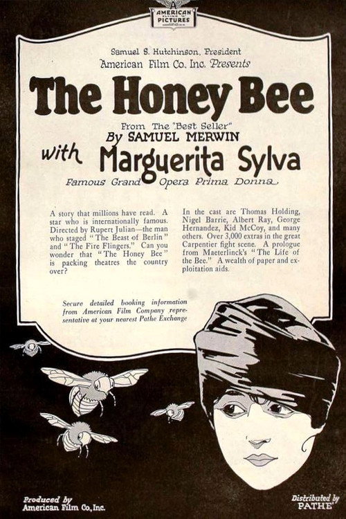 Movie poster for The Honey Bee (1920)