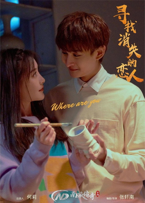 Movie poster for 寻找消失的恋人 (2024)