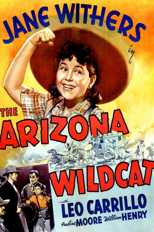Movie poster for The Arizona Wildcat (1939)