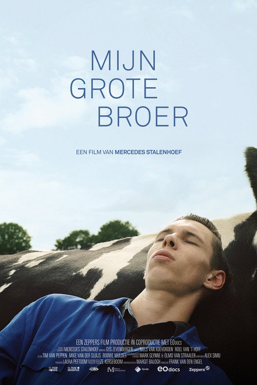 Movie poster for Mijn grote broer (2023)