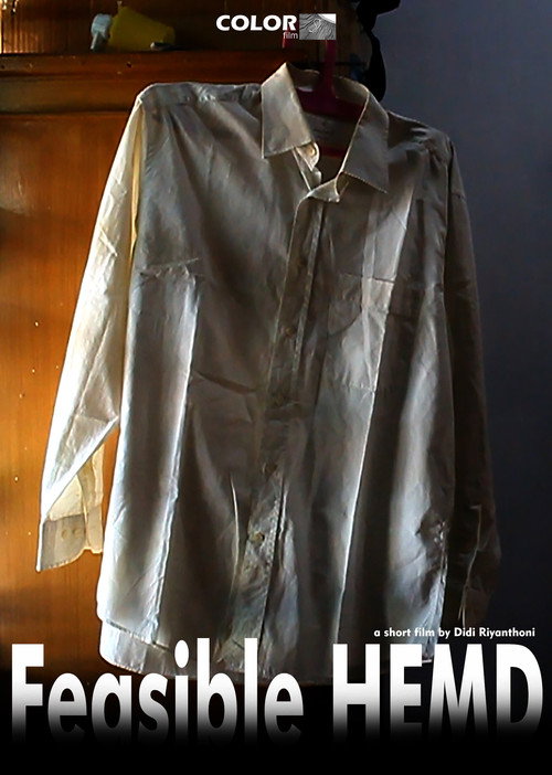 Movie poster for Feasible HEMD
