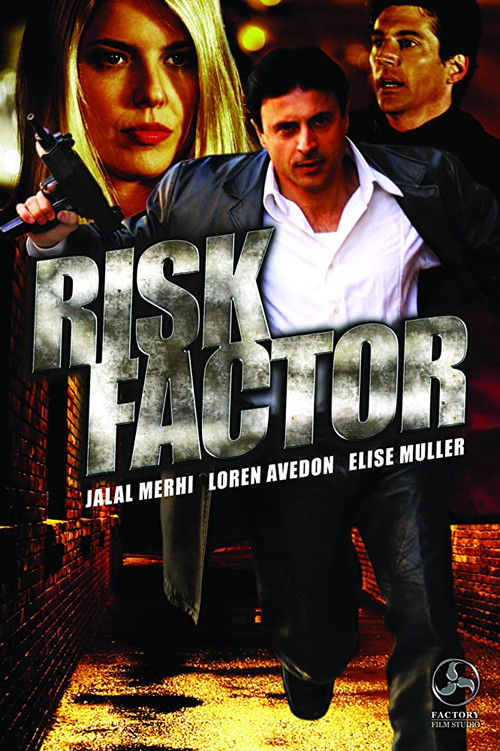 Movie poster for Risk Factor (2015)