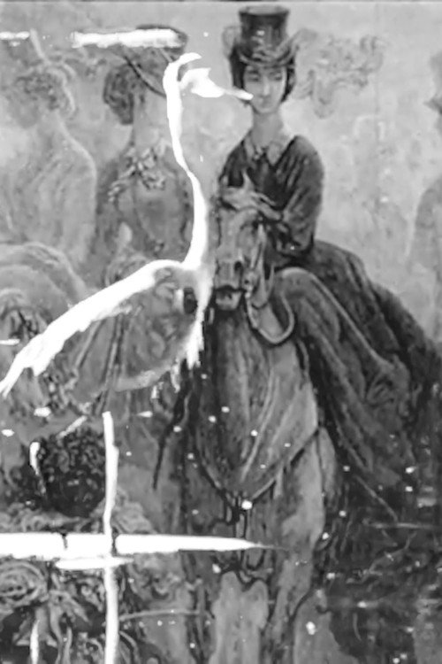 Movie poster for Some Thoughts On The Common Toad (2023)