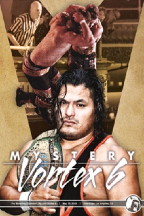 Movie poster for PWG: Mystery Vortex VI (2019)