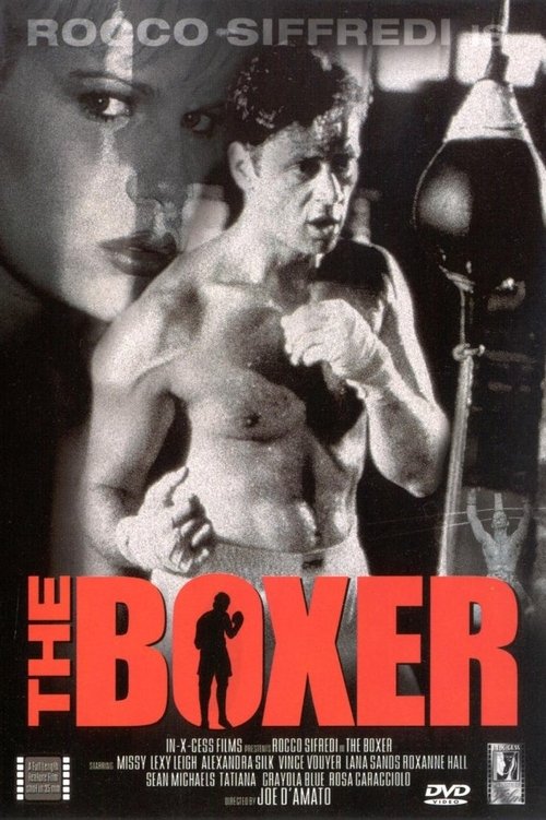 Movie poster for The Boxer (1997)