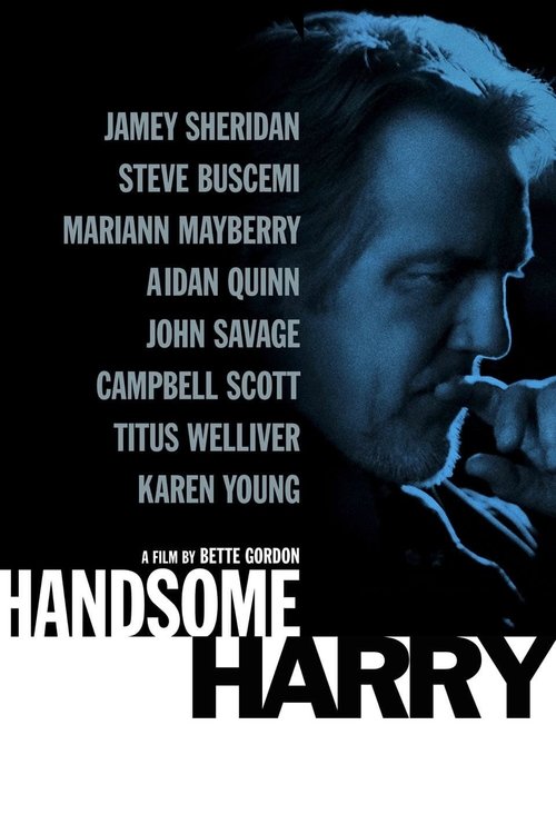 Movie poster for Handsome Harry (2009)
