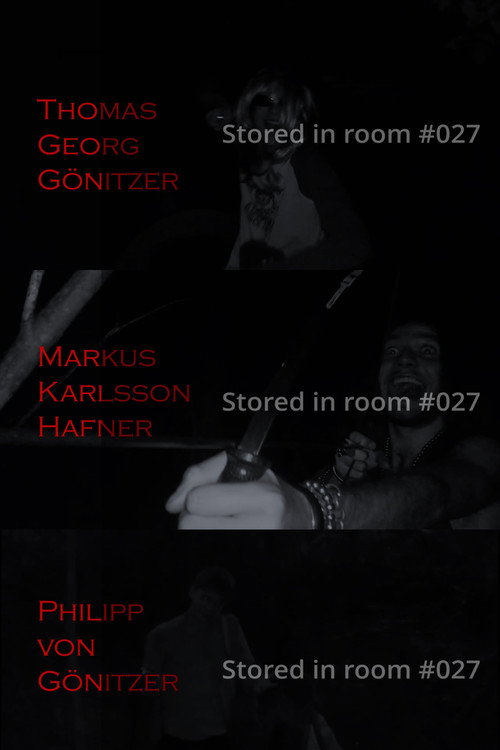 Movie poster for Stored in room #027 (2023)