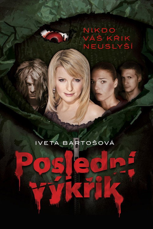 Movie poster for Poslední výkřik (2012)