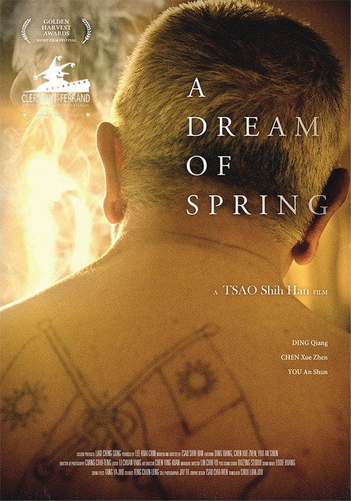 Movie poster for A Dream of Spring (2017)
