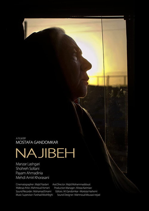 Movie poster for Najibeh (2020)