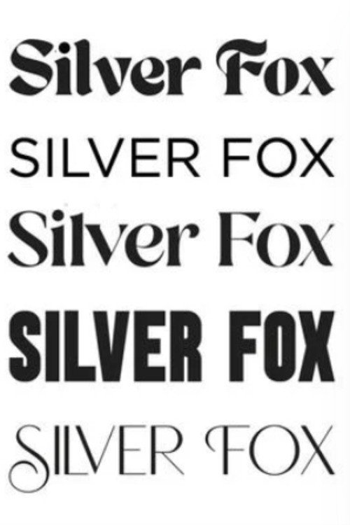 Movie poster for Silver Fox