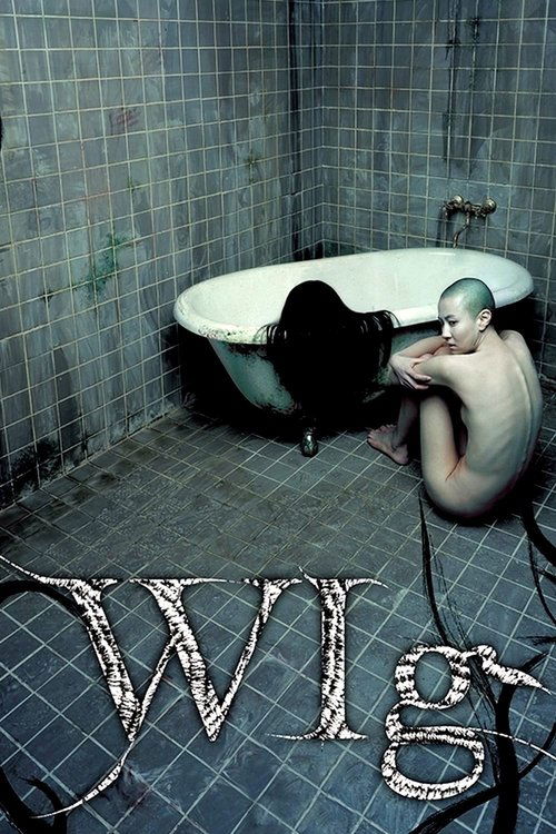 Movie poster for The Wig (2005)
