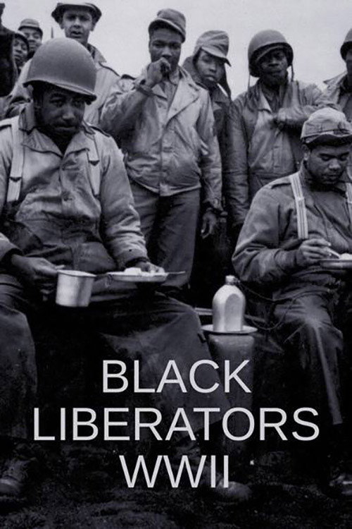 Movie poster for Black Liberators WWII (2021)