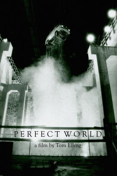 Movie poster for Perfect World (1990)