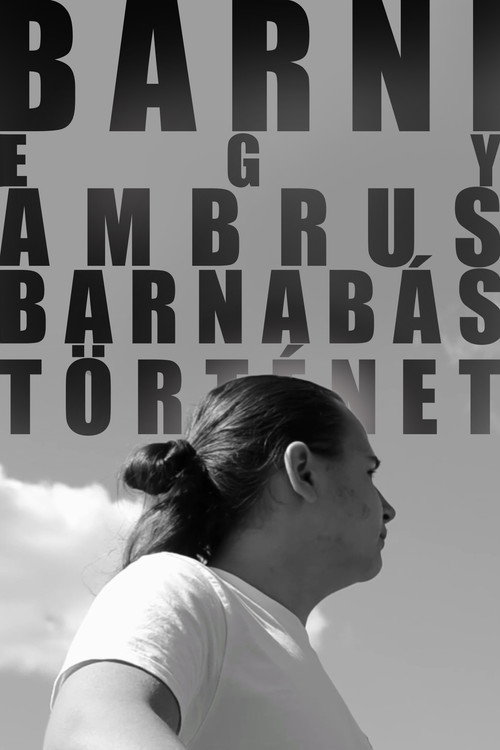 Movie poster for BARNI: A Barnabás Ambrus Story (2024)