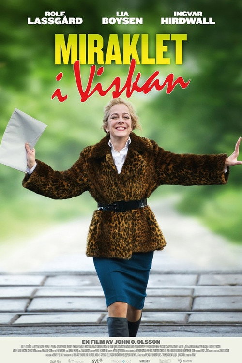 Movie poster for Miraklet i Viskan (2015)