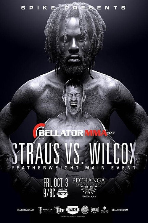 Movie poster for Bellator 127 (2014)