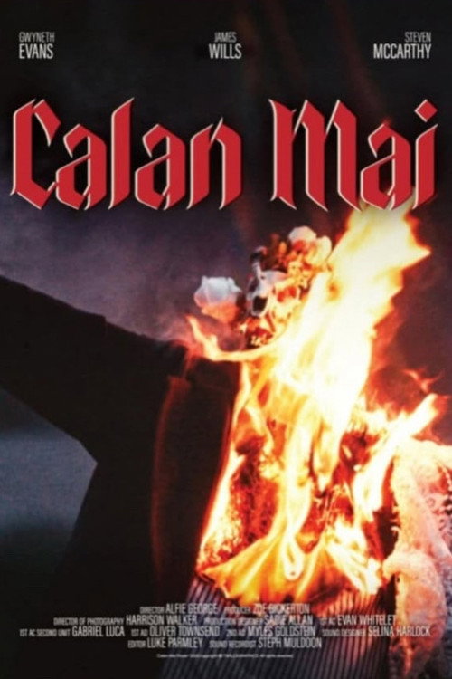 Movie poster for Calan Mai (2025)