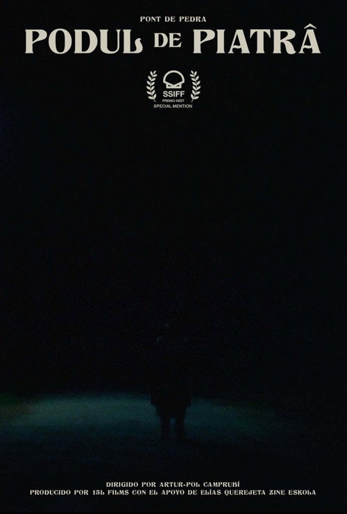 Movie poster for The Stone Bridge (2021)