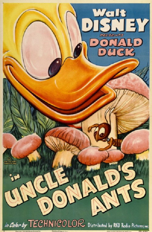 Movie poster for Uncle Donald's Ants (1952)