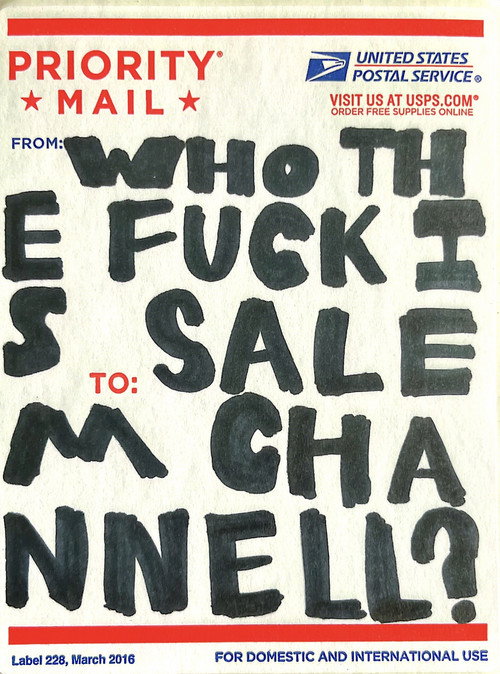 Movie poster for WHO THE FUCK IS SALEM CHANNELL?! (2025)