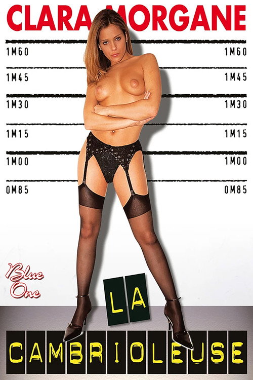 Movie poster for La Cambrioleuse (2002)