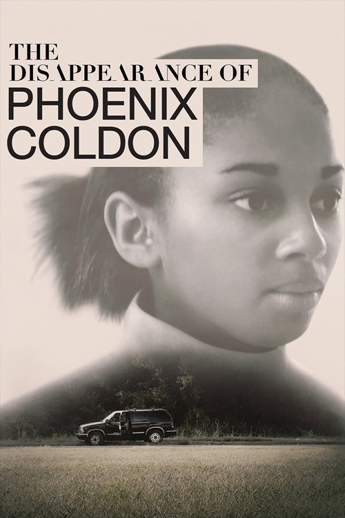Series poster for The Disappearance of Phoenix Coldon (2018)