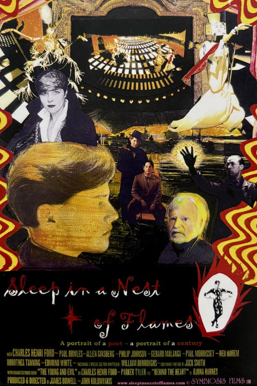 Movie poster for Sleep in a Nest of Flames (2001)