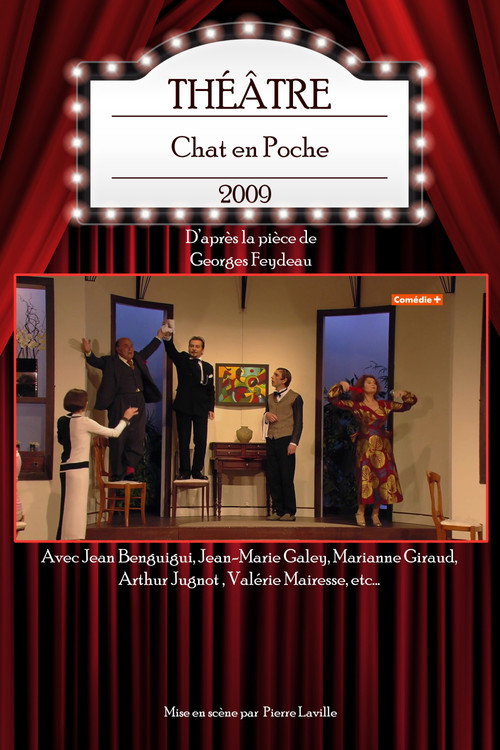 Movie poster for Chat en Poche (2009)