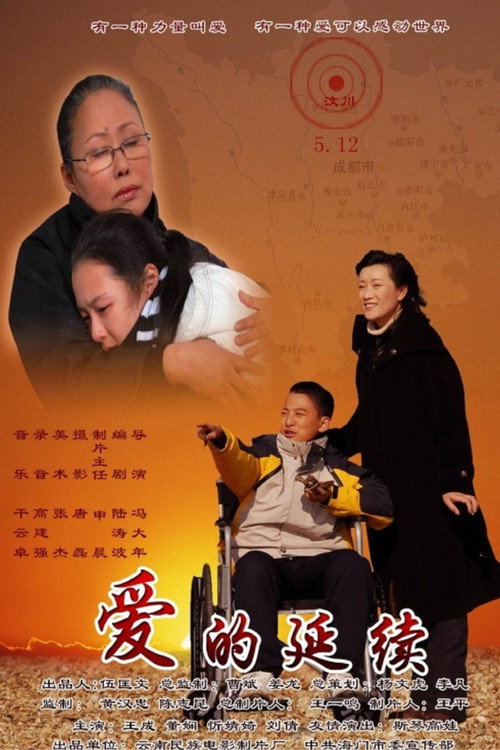 Movie poster for 爱的延续 (2009)
