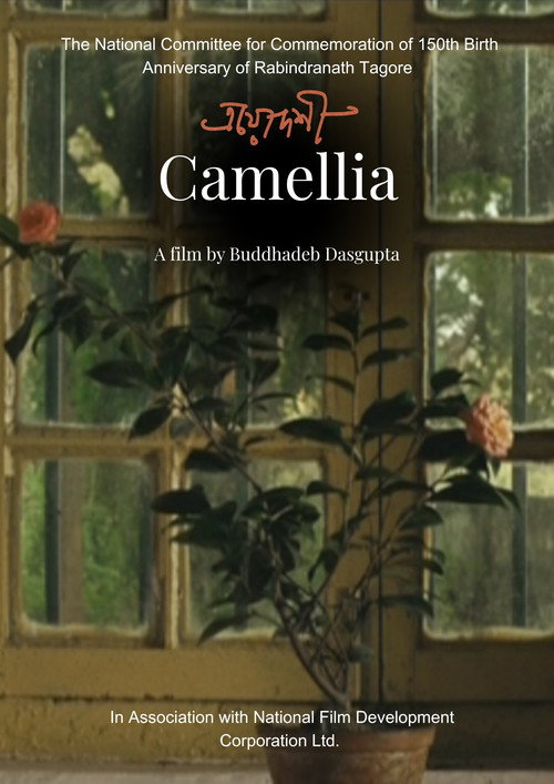 Movie poster for Camellia