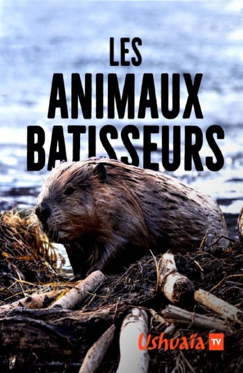 Movie poster for Les Animaux bâtisseurs (2018)