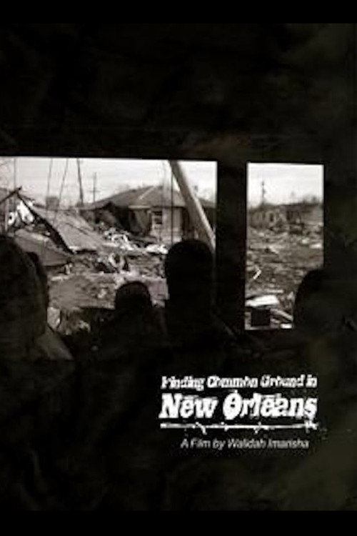 Movie poster for Finding Common Ground in New Orleans