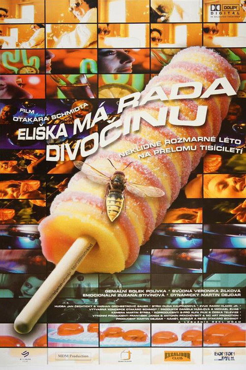 Movie poster for Eliška Likes It Hot (1999)