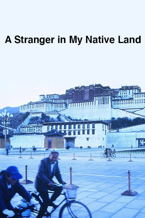 Movie poster for A Stranger in My Native Land (1997)