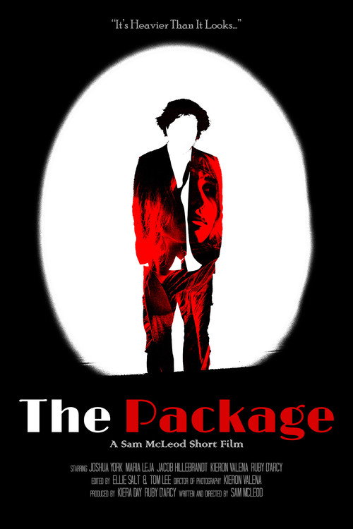 Movie poster for The Package