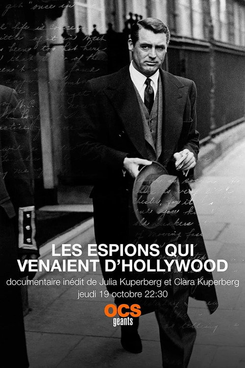 Movie poster for Hollywood Spies (2017)
