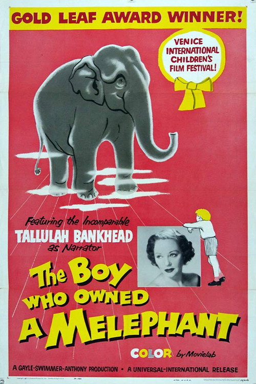 Movie poster for The Boy Who Owned a Melephant (1959)