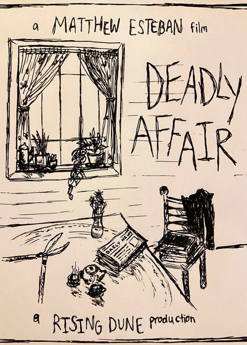 Movie poster for Deadly Affair (2024)