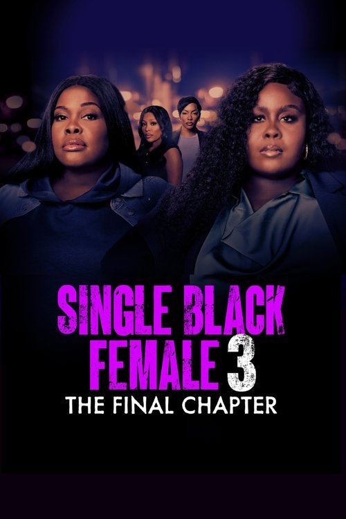 Movie poster for Single Black Female 3: The Final Chapter (2025)